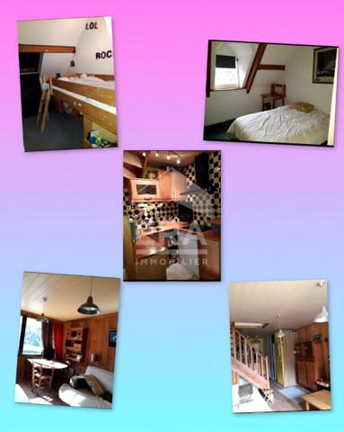 Duplex à Artouste  (Laruns) 3 pièces 40.56 m²