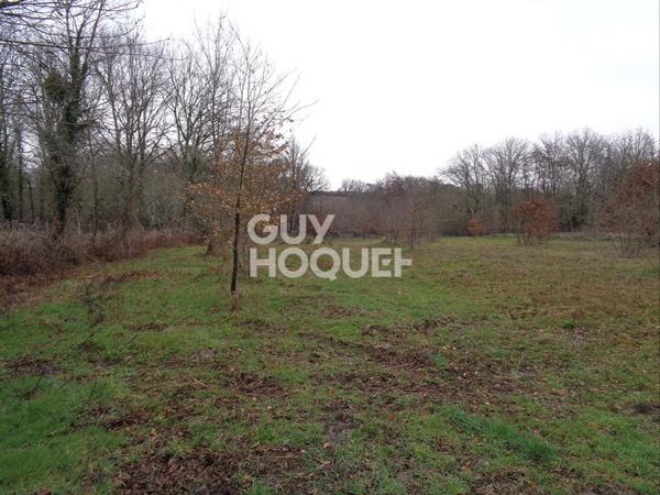 Terrain à bâtir Casteljaloux 1642 m2