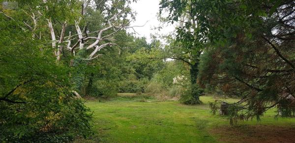 Maison à vendre à Langon sur Cher dans le Loir-et-Cher (41320), ref : 41036/3028