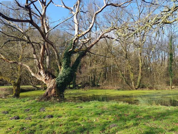 Maison à vendre à Langon sur Cher dans le Loir-et-Cher (41320), ref : 41036/3028