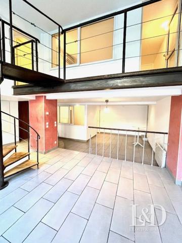 Duplex atypique au coeur de Grenoble