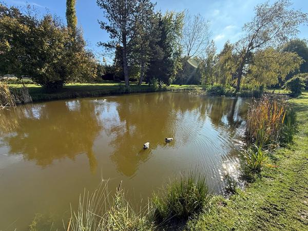 Moulin 9 pièce(s) 340 m2