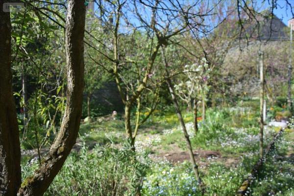 Maison à vendre à Mayenne en Mayenne (53100), ref : 53075-FC11
