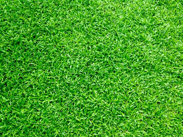 Terrain à bâtir AZUR 390m² pour 155m² d'emprise au sol