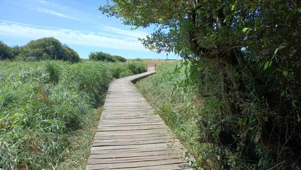 Terrain constructible - Accès plage Landrezac - 792 m2