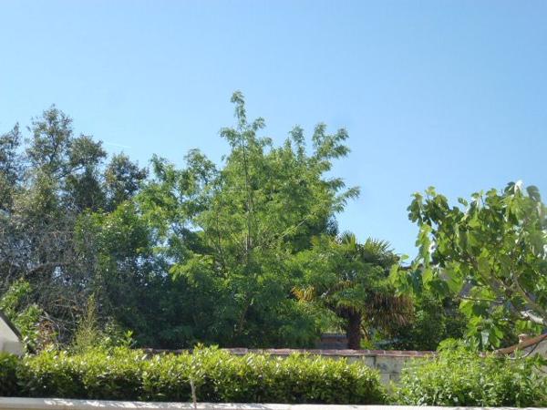 Appartement T2 avec Jardin St Genes 