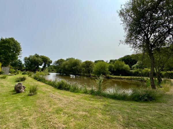 Terrain de loisirs de 4100m2 avec étang et bâtiment