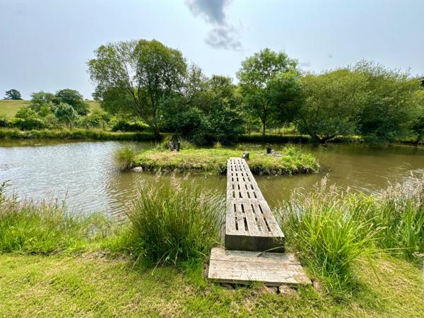 Terrain de loisirs de 4100m2 avec étang et bâtiment