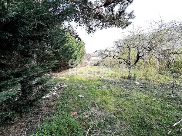 Rare !! Terrain Soissons