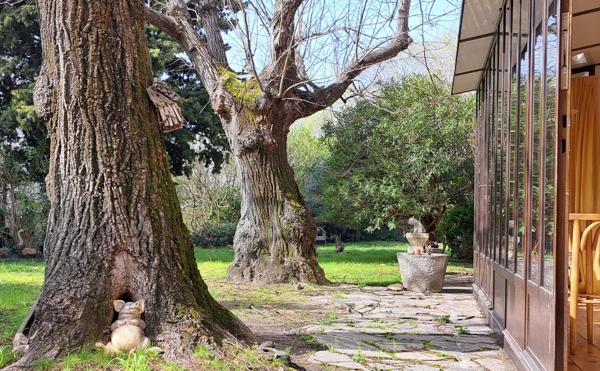 Le Thor (84250) Coup de coeur en bord de Sorgue- Centre-ville du Thor