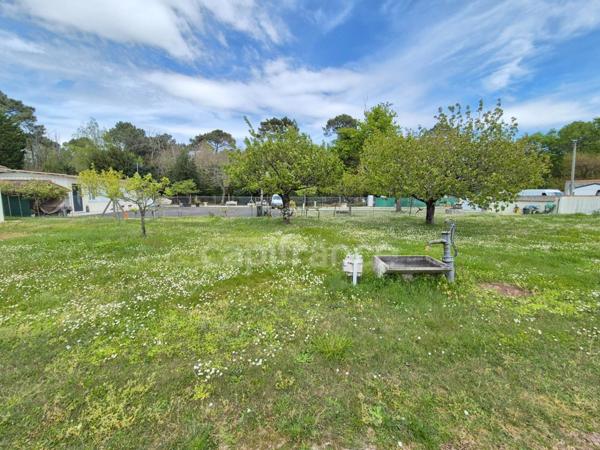 Terrain à vendre ROYAN (17200)