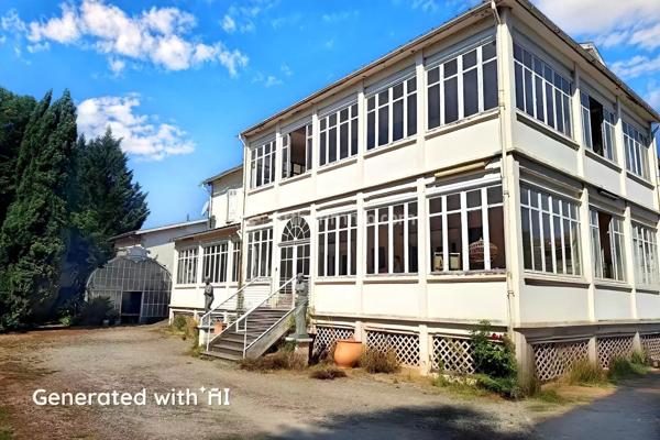 Vente Hôtel particulier 11 pièces 428 m2 à Mirepoix