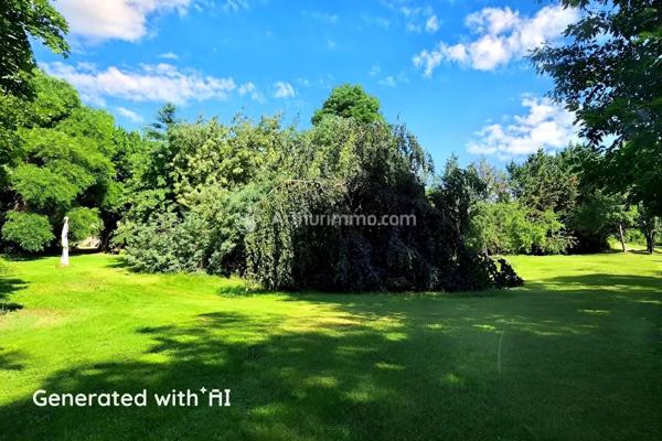 Vente Hôtel particulier 11 pièces 428 m2 à Mirepoix