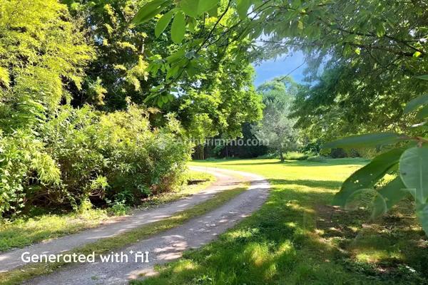 Vente Hôtel particulier 11 pièces 428 m2 à Mirepoix