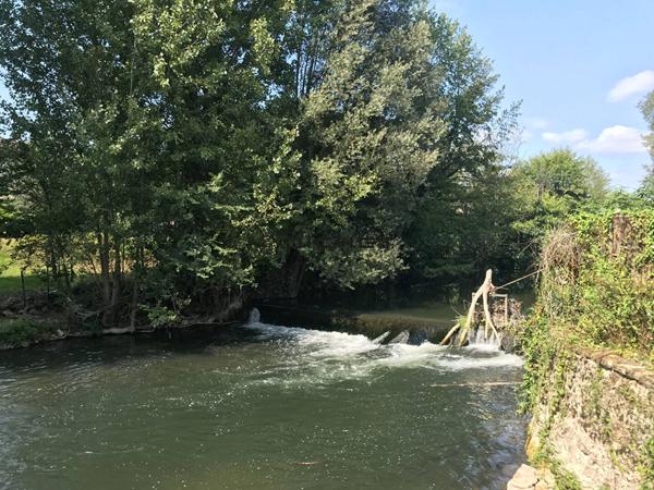 Autre 28 pièces 956 m²