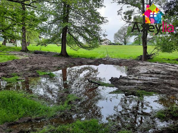 Roanne (42300) A VENDRE - 15MIN DE ROANNE - BELLE MAISON RÉNOVÉE AVEC QUATRE CHAMBRES, GRAND TERRAIN, ÉTANG ET PISCINE