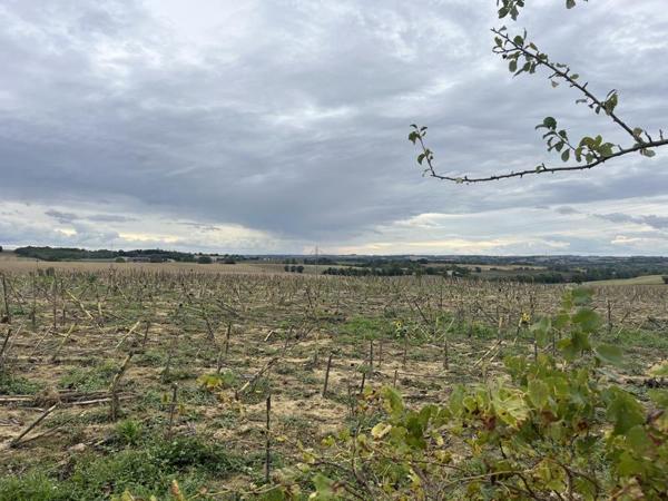 Maison à vendre |  L'Isle-Jourdain |  1 pièce | 150 m²