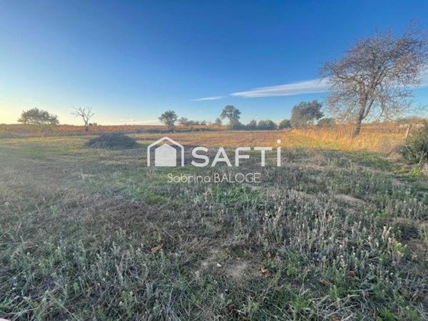 Terrain Agricole plat