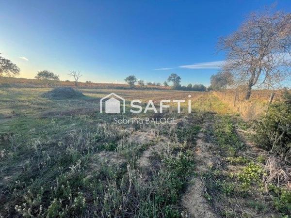 Terrain Agricole plat
