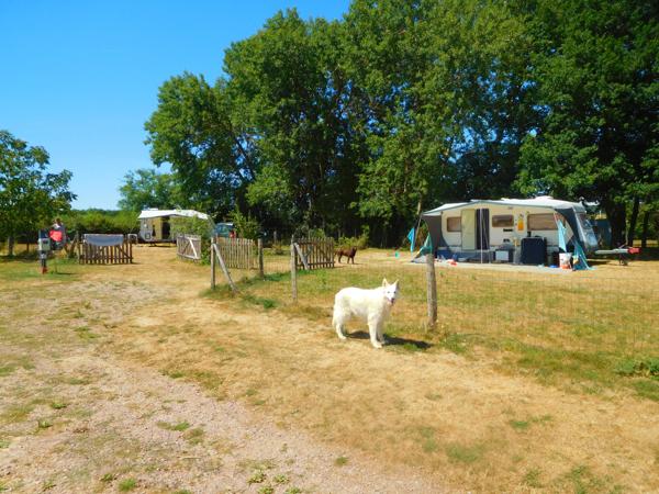 SOUS COMPROMIS - Couleuvre – Petit CAMPING à thème avec maison et granges sur 3 ha 77 Couleuvre (03320)