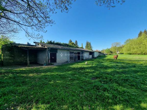Vente Propriété 9 pièces 288 m2 à Rimaucourt