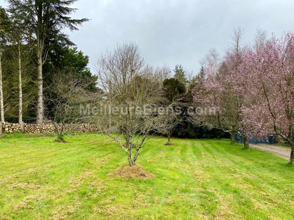 A JANZE, Maison avec magnifique terrain de 5000m2 au calme