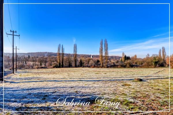 Terrain à vendre ORBAIS L'ABBAYE (51) - 7336m² - vue sur la vallée du Surmelin
