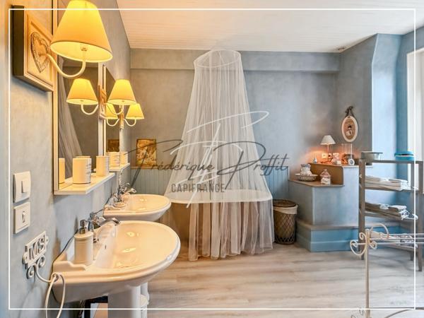 Propriete à vendre 11 pièces possibilité activité professionelle et chambres d'hotes