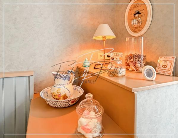 Propriete à vendre 11 pièces possibilité activité professionelle et chambres d'hotes