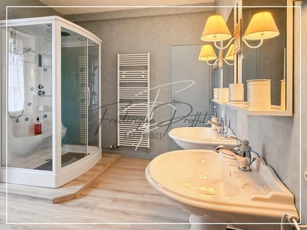 Propriete à vendre 11 pièces possibilité activité professionelle et chambres d'hotes