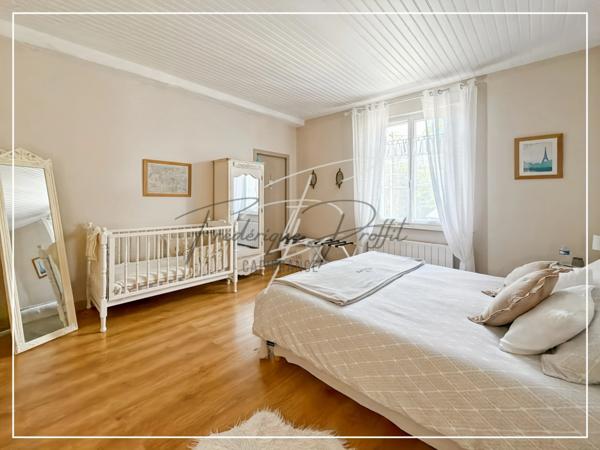 Propriete à vendre 11 pièces possibilité activité professionelle et chambres d'hotes