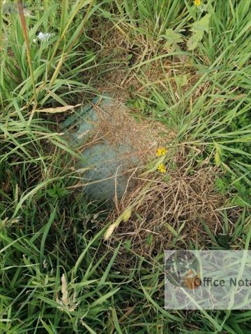 Terrain à Batir à vendre à Pipriac en Ille-et-Vilaine (35550), ref : 1006586