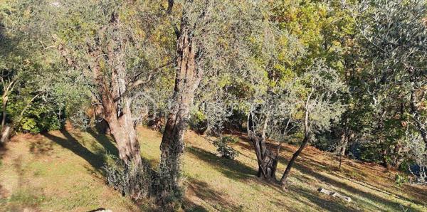 Maison provencale de 240 m²