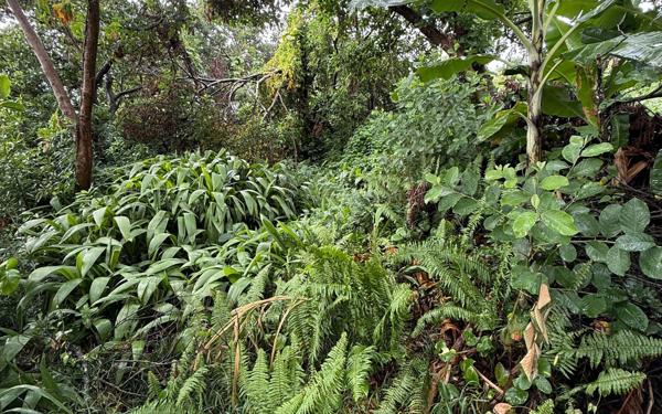 Terrain à vendre    Saint-Denis