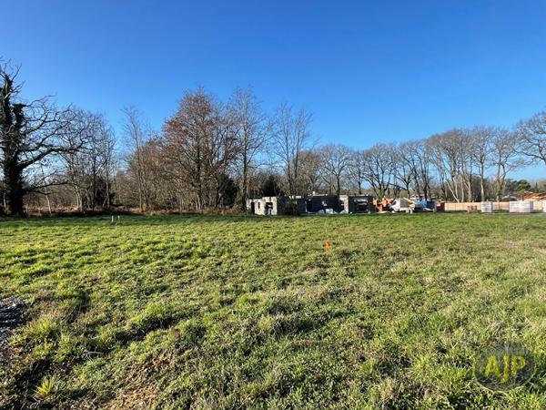 Vente terrain Challans : 186 270 € - AJP Immobilier Challans