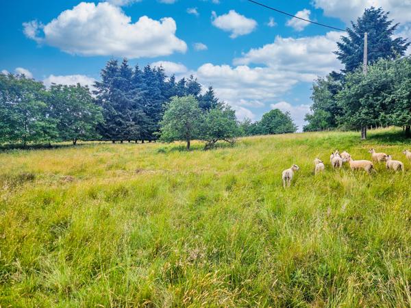 Maison à vendre à Séreilhac (87620) - Haute-Vienne