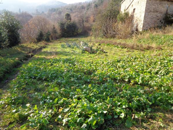 Ardèche verte, rare ferme 125 m² avec dépendances