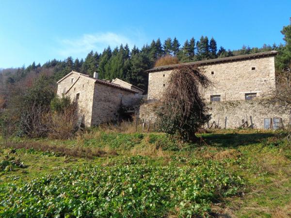 Ardèche verte, rare ferme 125 m² avec dépendances