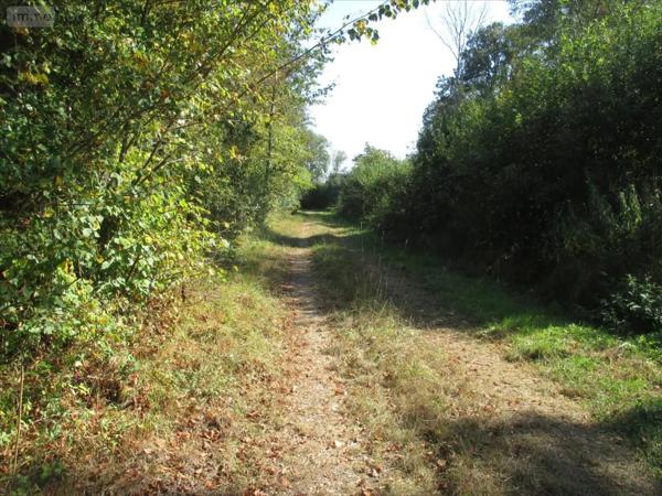 Achat - Terrain de loisirs, bois, étangs Fleurey-lès-Faverney 70160 12498 m 2