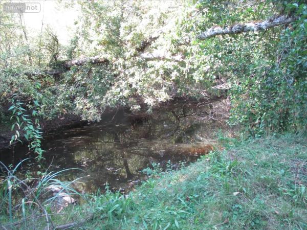 Achat - Terrain de loisirs, bois, étangs Fleurey-lès-Faverney 70160 12498 m 2
