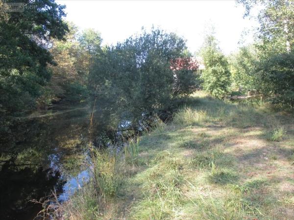 Achat - Terrain de loisirs, bois, étangs Fleurey-lès-Faverney 70160 12498 m 2