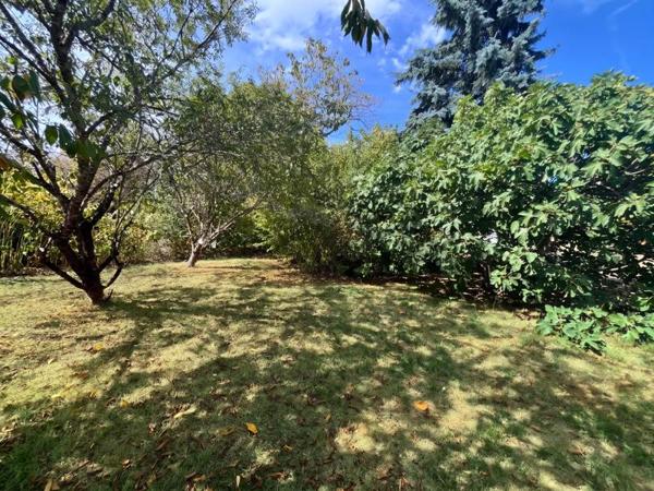 Maison 116 962 € Jonzac 3 p 55 m² DPE E