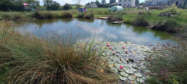 Menskirch (57320) Maison contemporaine 153 m² – 5 chambres – Terrain de 30 ares avec étang