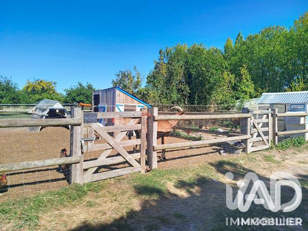 Maison à vendre 18 pièces 554 m² Mont-Dol
