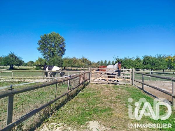 Maison à vendre 18 pièces 554 m² Mont-Dol