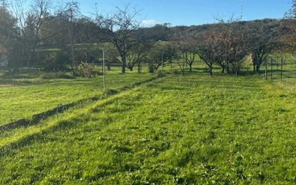 Maison à vendre    4 pièces •  Le Pailly