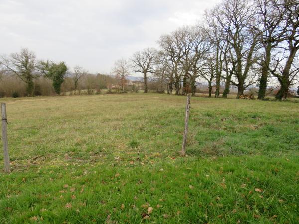 DOMAINE EN PIERRE