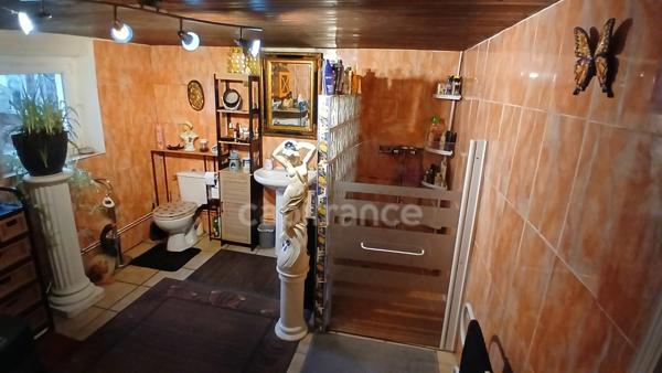 Maison de campagne à vendre 4 pièces SAINT PLAISIR (03)