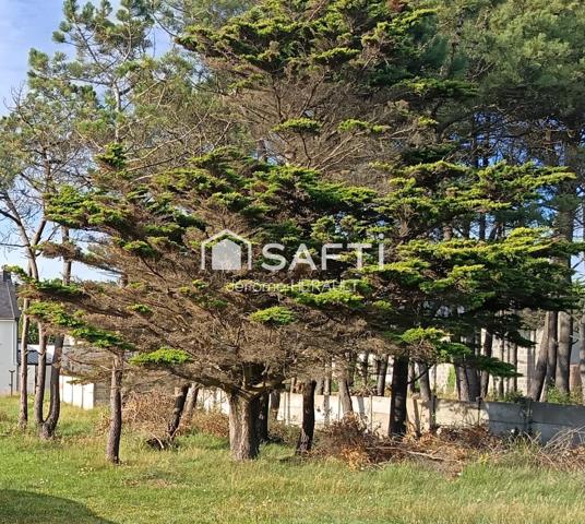 Rare - Vue mer imprenable : maison rénovée 148m²