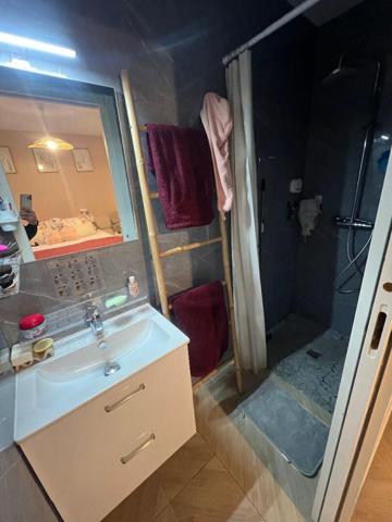 Maison  4 pièce(s) 96 m2, garage